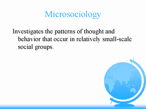 social microcosm meaning