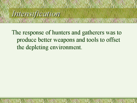 Intensification